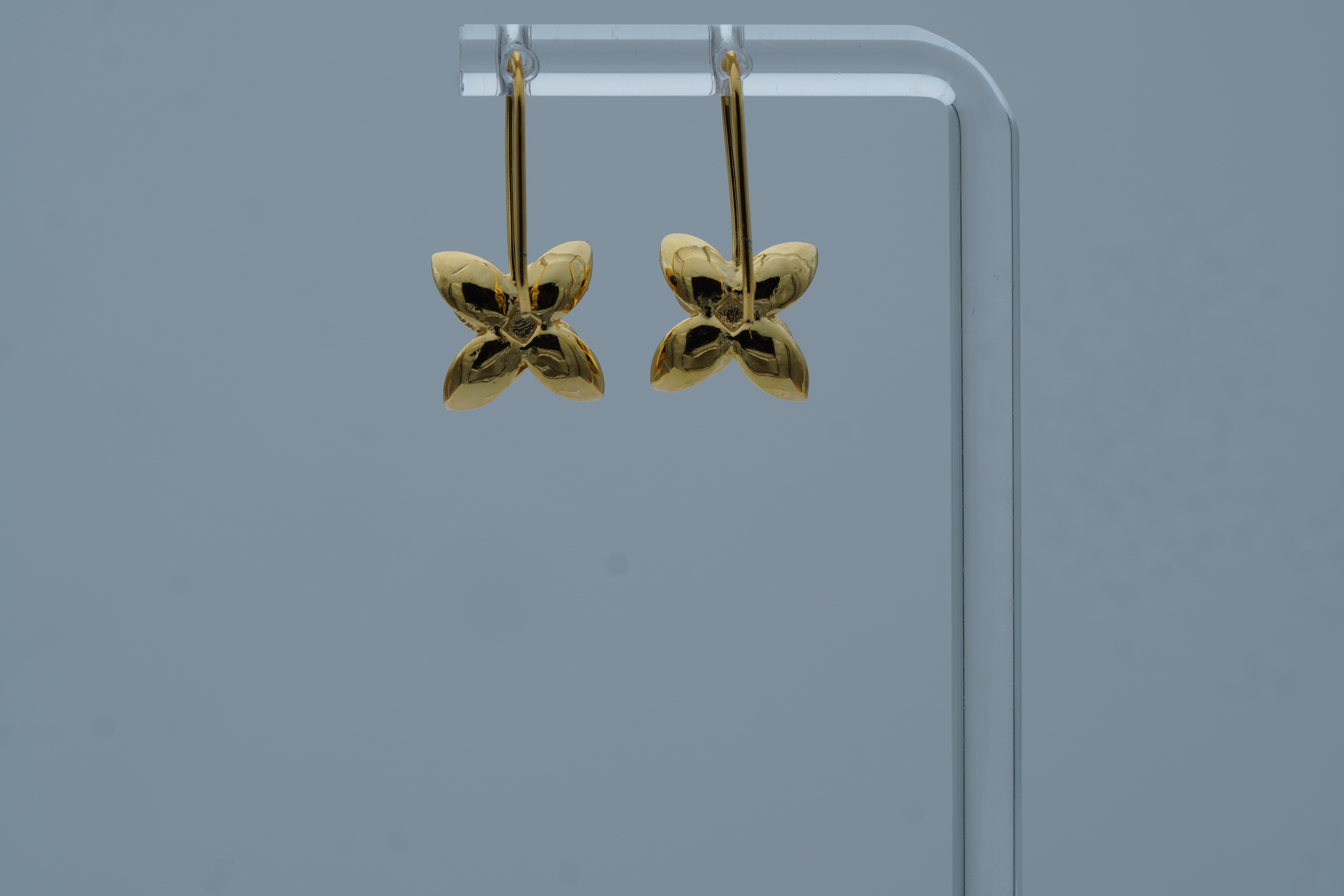 NAYANTARA SILVER EARRINGS