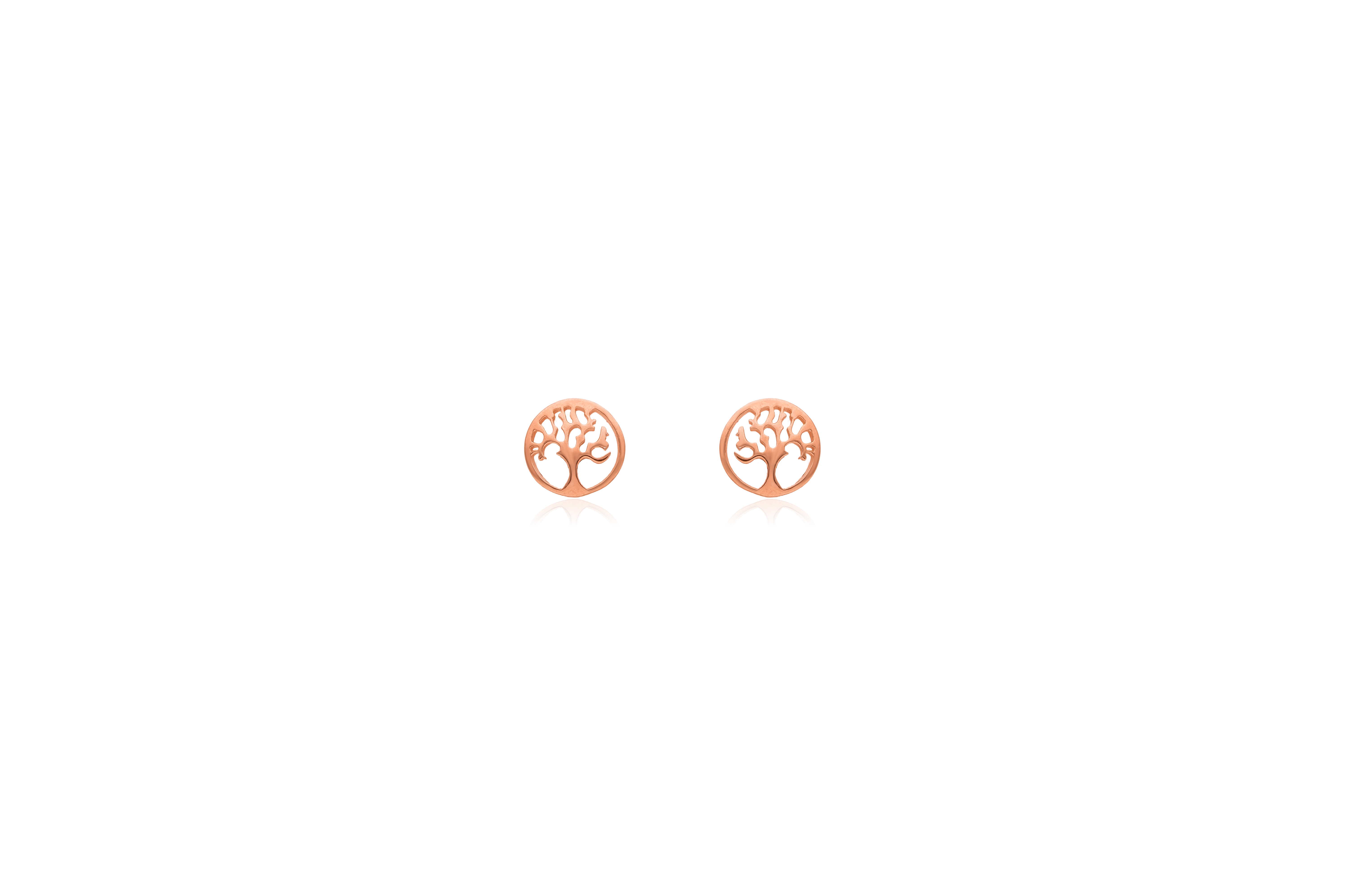 Circle of Life Silver Stud Earrings